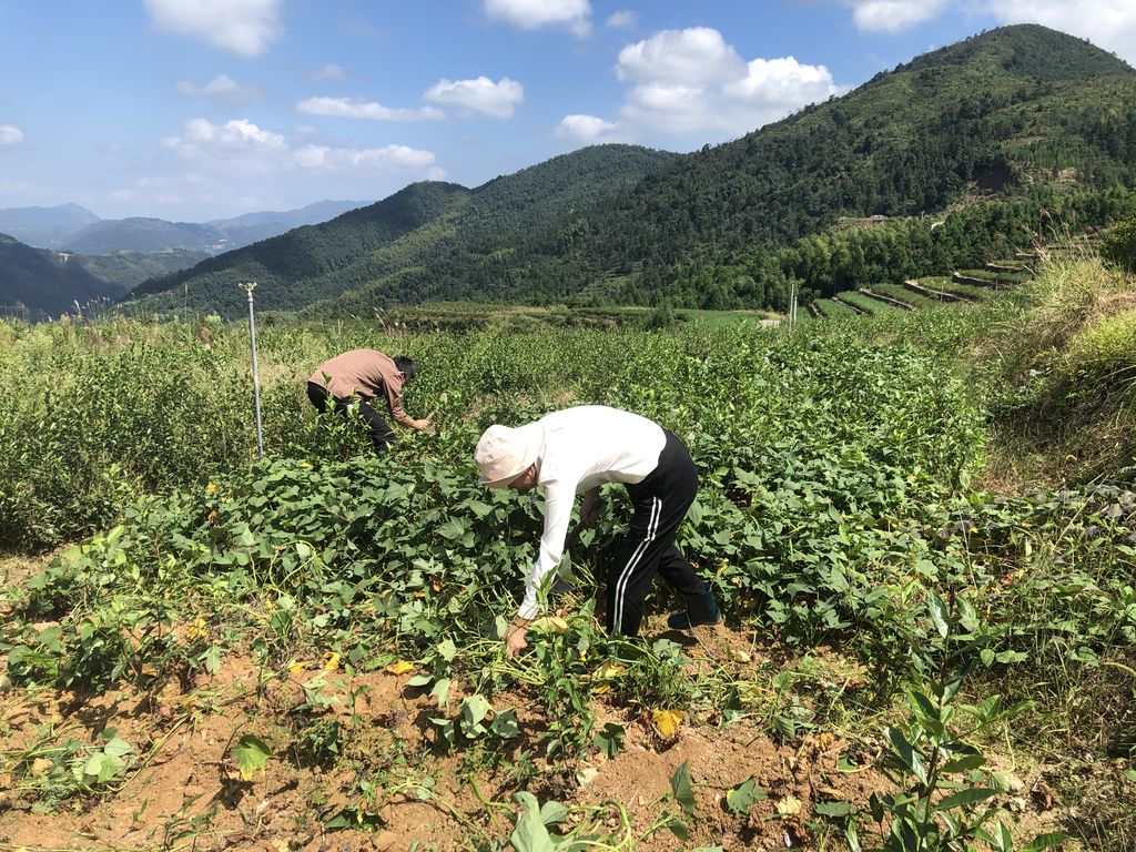 ��λص�12��֮ǰ��