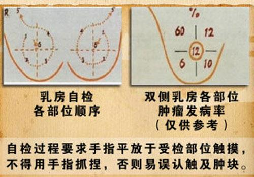 乳腺触诊成像怎么检查【科普】乳腺触诊及自我检查方法_https://www.jmylbn.com_新闻资讯_第6张