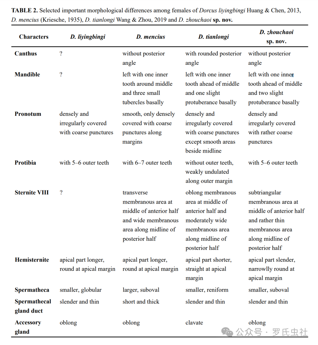 周超大锹雌虫特征对比