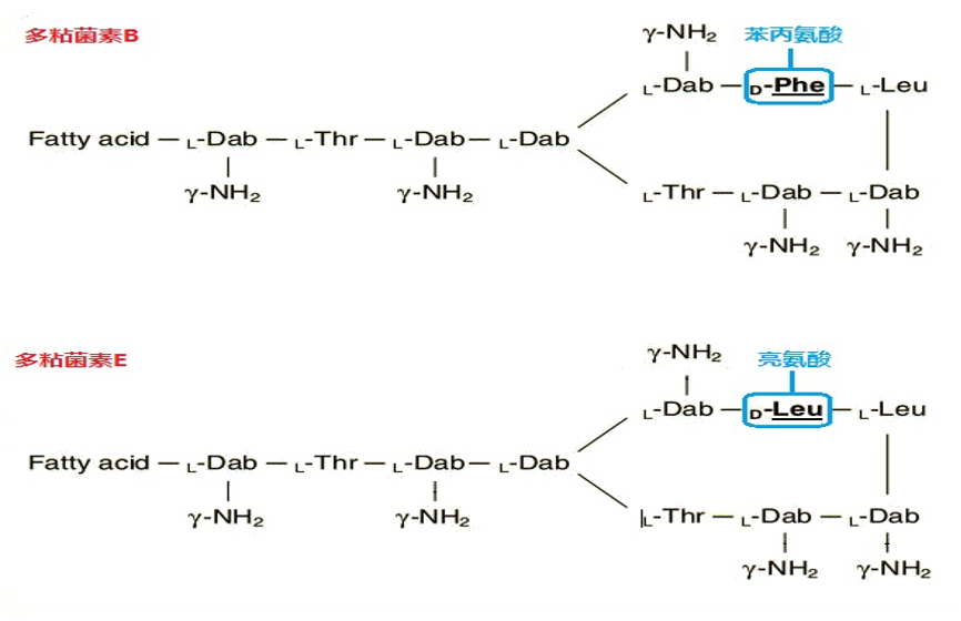 多黏菌素e和b分不清一文带你捋清