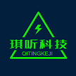 山东琪听信息科技有限公司