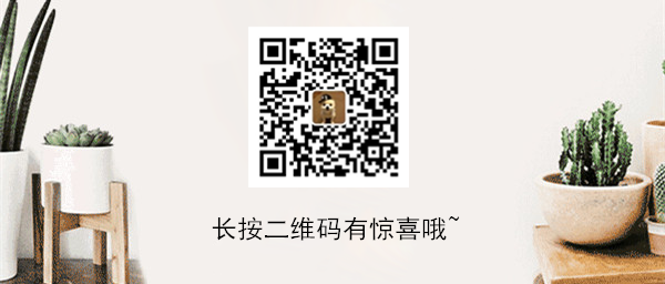 狗狗在海裡突然消失，主人差點報警，下秒它卻叼著禮物上來了！ 寵物 第1張