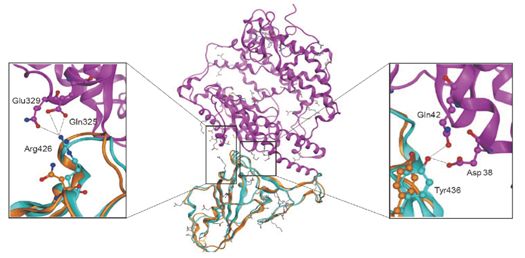 從病毒到免疫， “科學地”揭開新冠病毒的神祕面紗