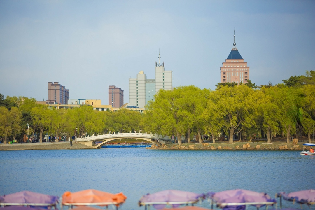 麦田商旅2023年第一张网约车运营牌照北国春城我们来啦