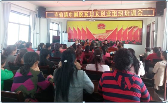 妇女创业项目典型 【典型经验】妇女致富的引领先锋——寺仙镇巾帼脱贫妇女创业组织