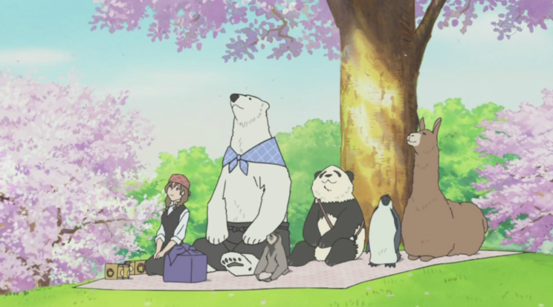 白熊咖啡厅白熊cv是谁_白熊咖啡厅是什么题材_白熊咖啡厅白熊