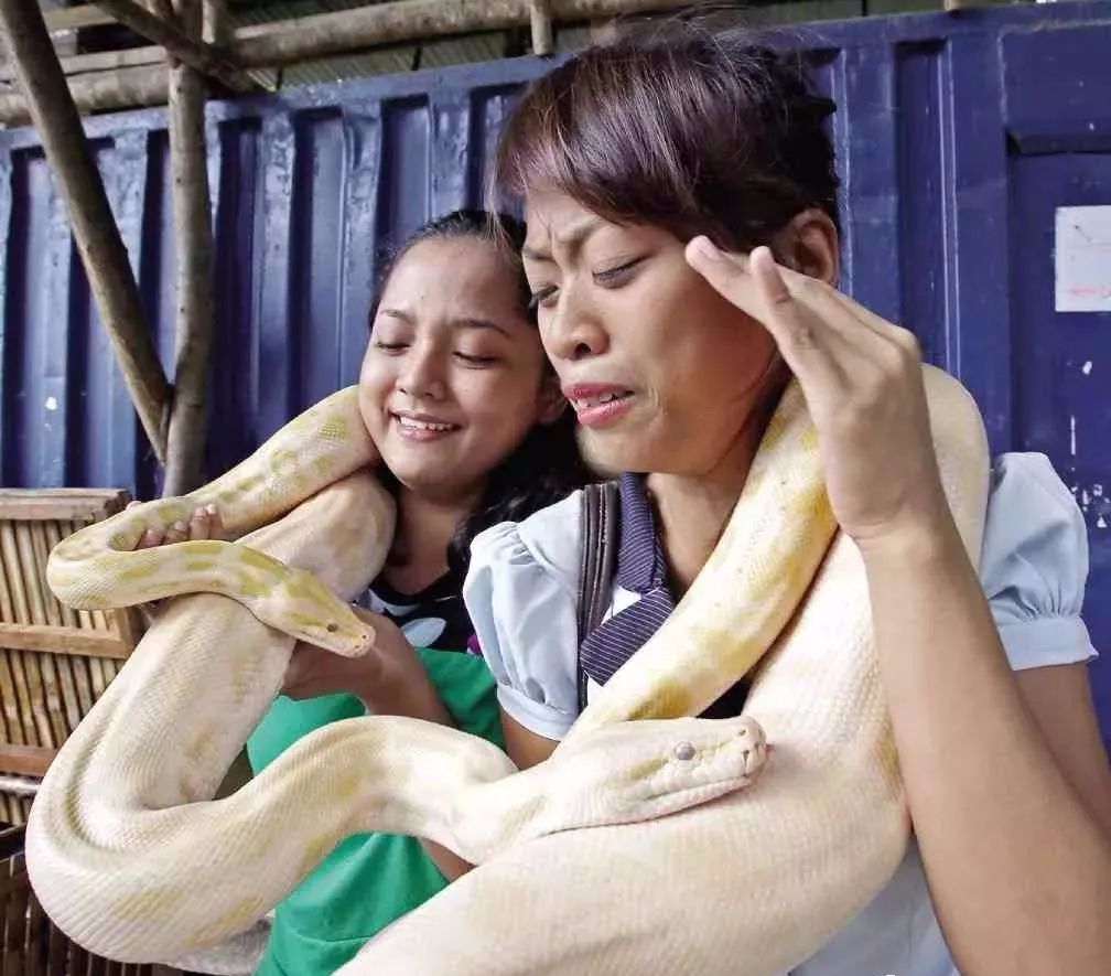 驚悚：在菲律賓做了一次「蛇療保健」，做完感覺自己比許仙還牛... 靈異 第14張