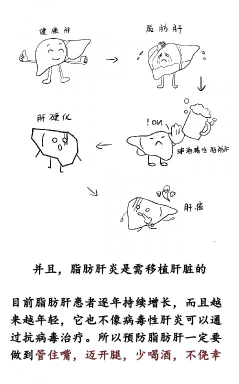 嚇skr人——脂肪肝為什麼可怕？ 健康 第19張