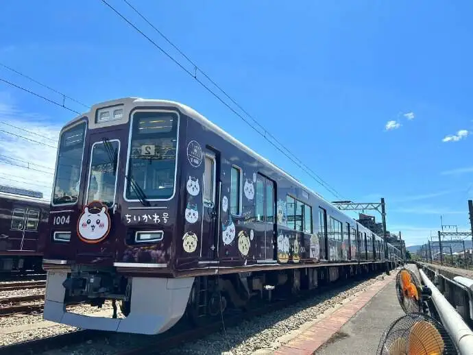 Chiikawa：十元店最火玩具，为何在北上广杀疯了？