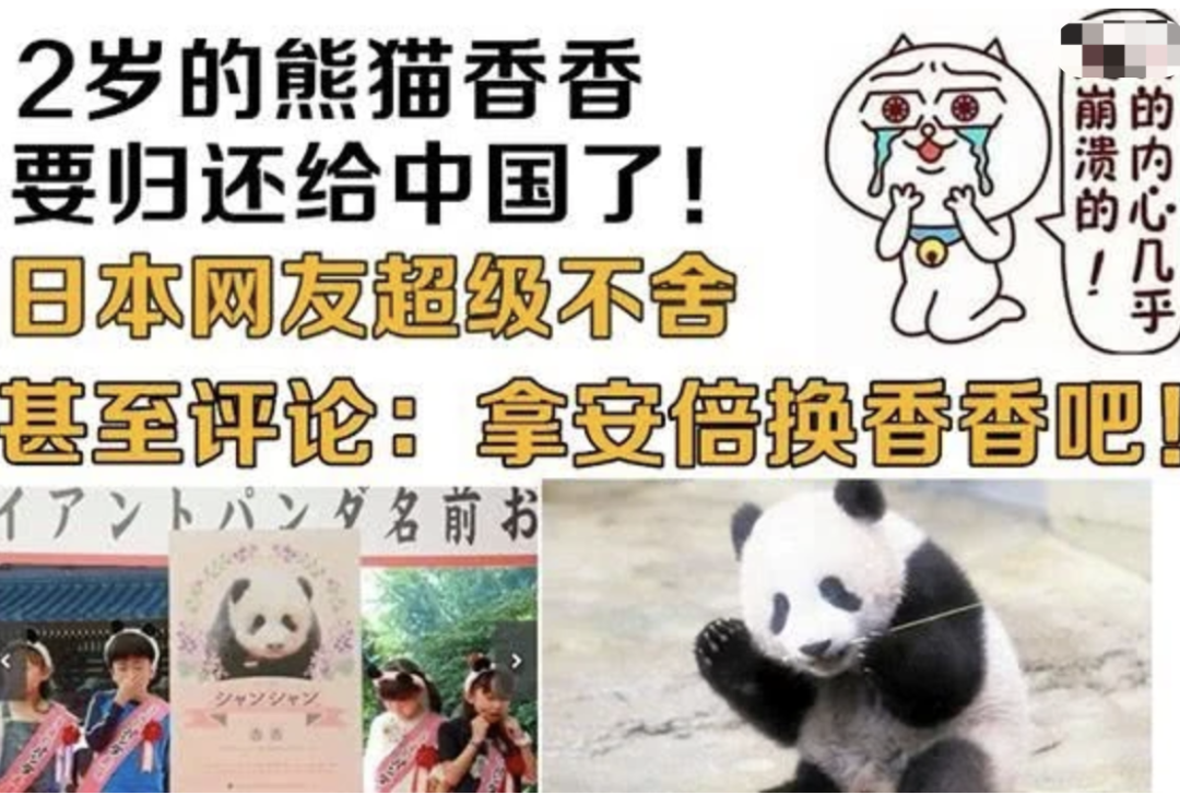 每年租金700万！只租不卖的中国特产，快要把老外逼疯了（组图） - 15