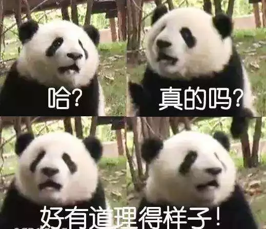 每年租金700万！只租不卖的中国特产，快要把老外逼疯了（组图） - 34