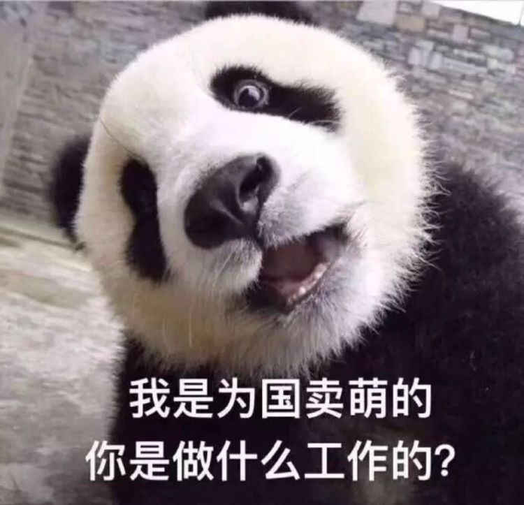 每年租金700万！只租不卖的中国特产，快要把老外逼疯了（组图） - 30
