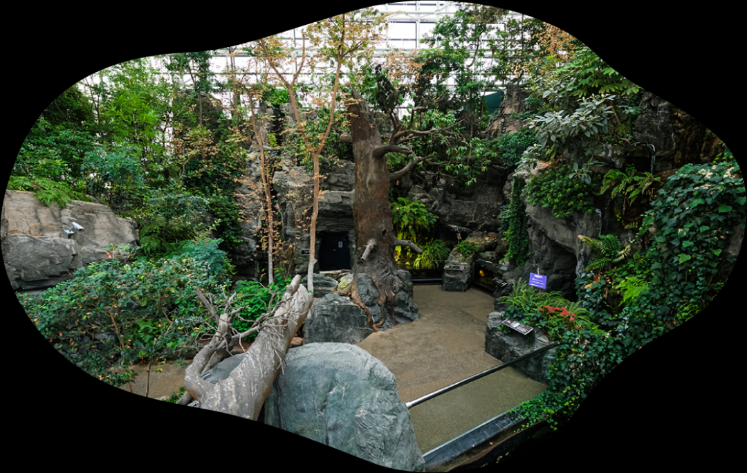 你一定有所耳闻的大阪海游馆，阪阪带你走进环太平洋之旅！