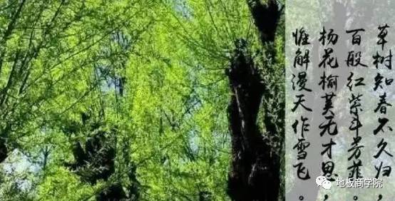 ps木地板|家里铺榆木地板能长寿5年?!