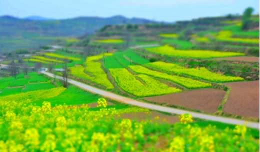 春季气候变化频繁，地板的养护你是否忽略了？