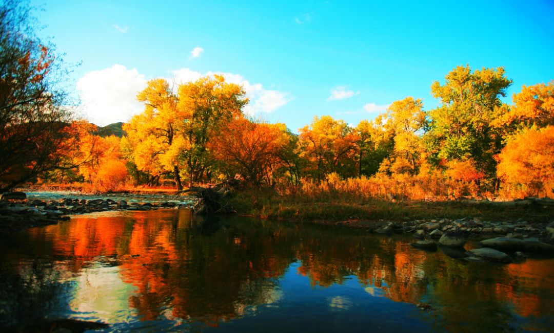 眼睛装不下那就把博乐美景打包带回家