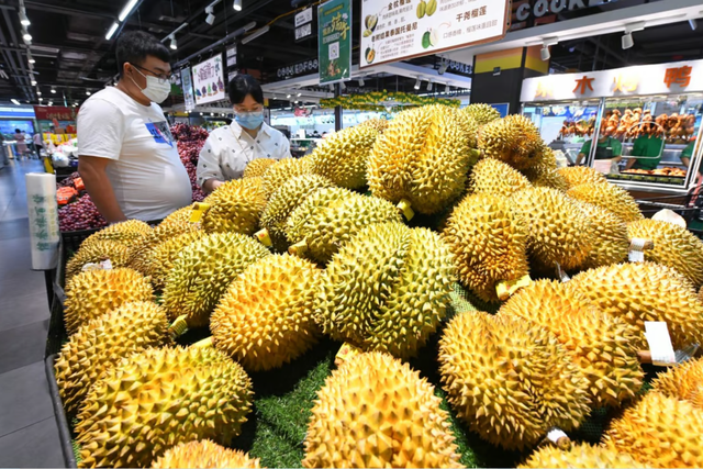 榴莲价格为何一路走低