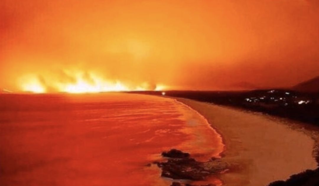 窒息！悉尼空气质量“危险”爆表！大火逼城，生灵涂炭，海滩黑化，这场大火，跟我们每个人都息息相关！（组图） - 94