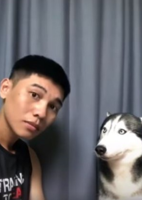 突然被爸爸熊抱 二哈一脸震惊 你是不是有病 拆迁队长哈士奇 每日精选公众号文章