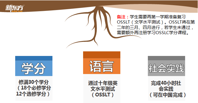 揚州新東方國際高中_揚州高中新東方國際校區地址_揚州新東方國際學校高中學費