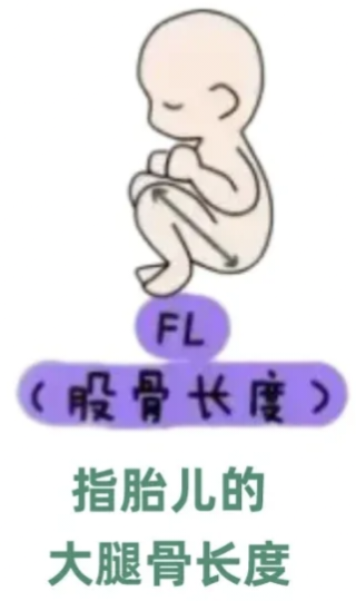 眼科ab超单怎么看1分钟带你看懂孕检B超单，解读秘籍准妈妈必备！_https://www.jmylbn.com_新闻资讯_第9张