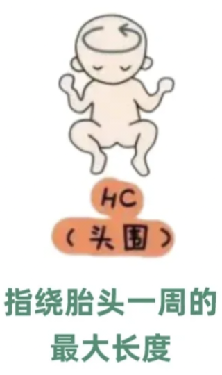 眼科ab超单怎么看1分钟带你看懂孕检B超单，解读秘籍准妈妈必备！_https://www.jmylbn.com_新闻资讯_第8张