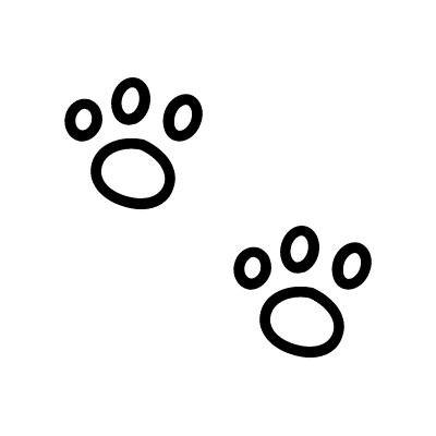 广州竞捷信息科技有限公司