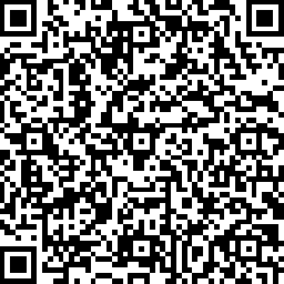 泰山百代丽工艺伞厂