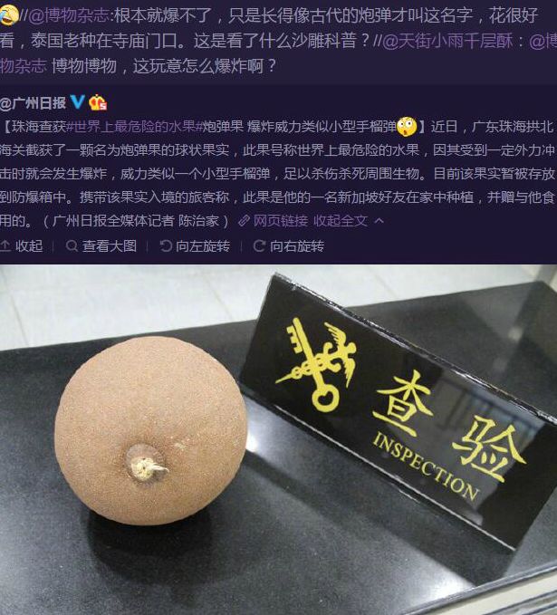 飞机杯用完了洗好麻烦说了多少次飞机杯用完要洗干净,不能乱丢，砸到花花草草就不好了！2