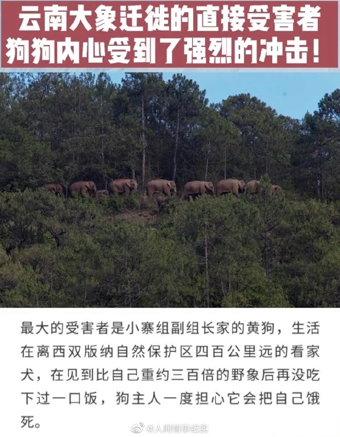 惊!这个国家的男人舌头普遍比别人灵活3%!-微信头条网 惊!这个国家的男人舌头普遍比别人灵活3%!