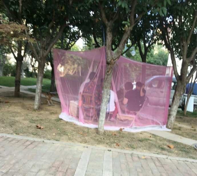 大、粗、硬,女人最喜欢哪一个?-微信头条网 大、粗、硬,女人最喜欢哪一个?