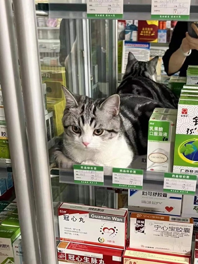 女朋友总是尿床，应该和她分手吗？