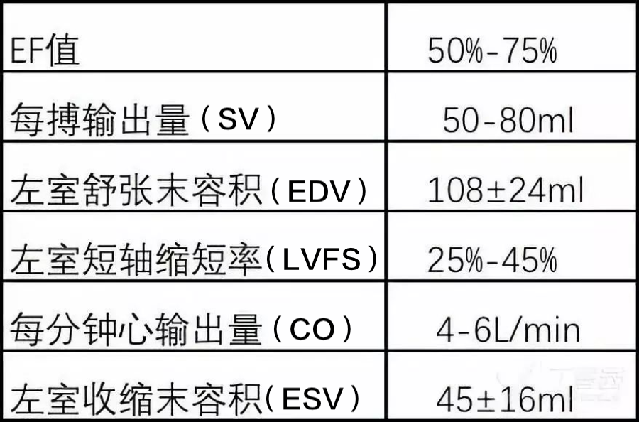 超實用！7 步讀懂超聲心動圖 健康 第4張