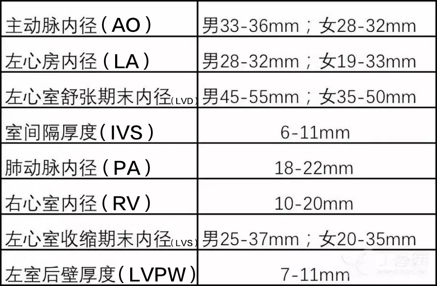 超實用！7 步讀懂超聲心動圖 健康 第2張