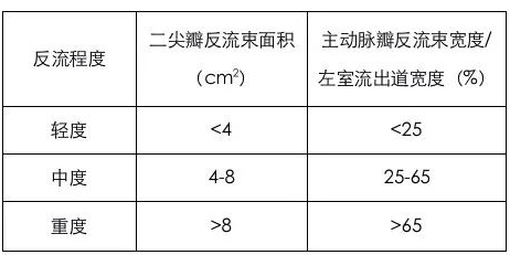 超實用！7 步讀懂超聲心動圖 健康 第5張