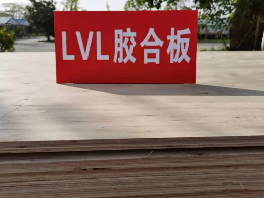 硬阔属于慢生树种吗_树种生长特性有什么_速生树种