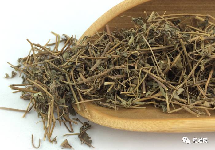 随着地锦草胶囊的畅销,主原料地锦草用量也随之增加,行情被多商看好