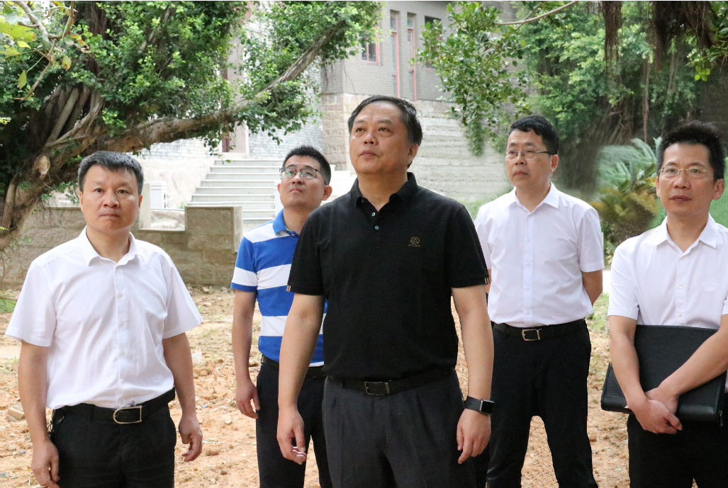 未雨绸缪，防台备汛！张帆实地察看