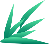 【中药资源】大开眼界！以“羊”为名的植物—淫羊藿，你知道几种？