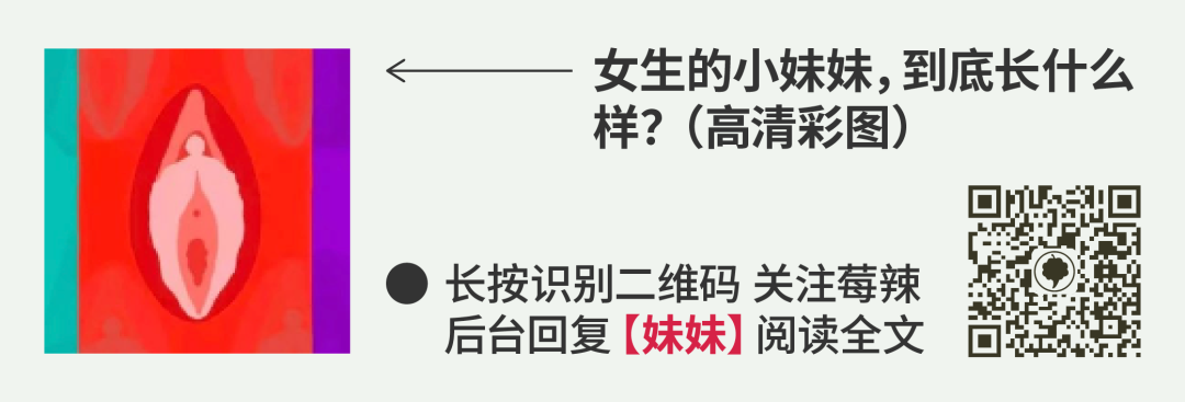 阴道扩张器干什么用妇科检查用的「窥阴器」，你真的了解吗？_https://www.jmylbn.com_新闻资讯_第27张