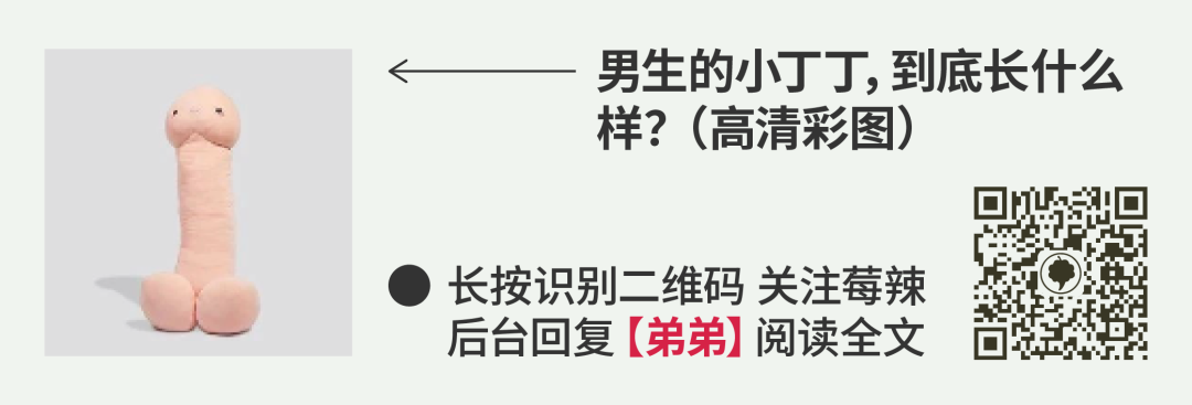 阴道扩张器干什么用妇科检查用的「窥阴器」，你真的了解吗？_https://www.jmylbn.com_新闻资讯_第28张