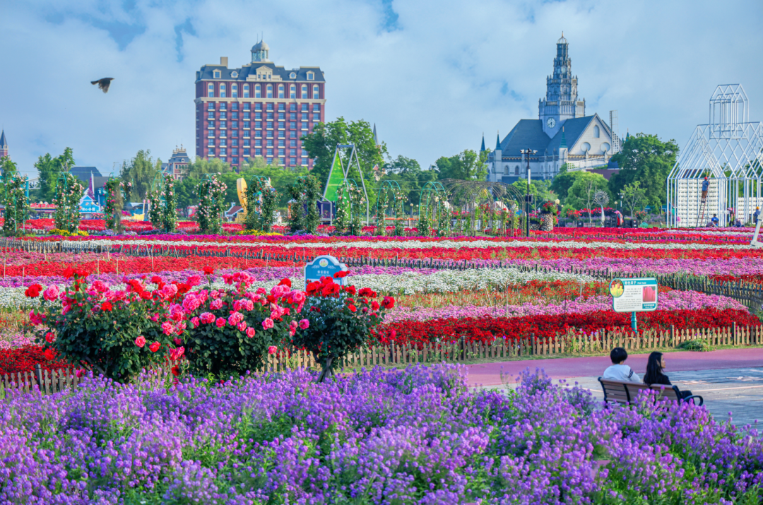 看候鸟看麋鹿看丹顶鹤!按这个攻略立省398元!