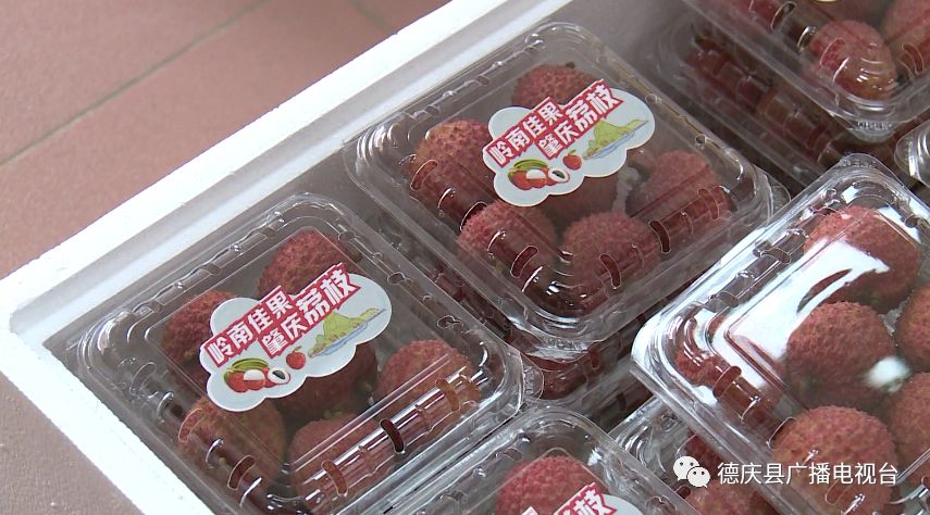 对摘下来的荔枝进行定点专业包装,然后由快递公司送往北京央视《魅力