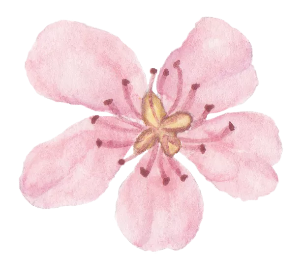 相片尺寸表_1984年农历表阳历表对照_相片尺寸大小对照表