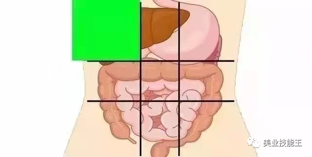 AED怎么自检腹部不同位置疼痛代表不同病症，点击文章自检_https://www.jmylbn.com_新闻资讯_第3张