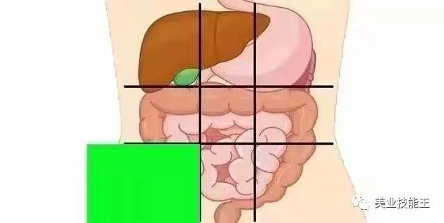 AED怎么自检腹部不同位置疼痛代表不同病症，点击文章自检_https://www.jmylbn.com_新闻资讯_第7张
