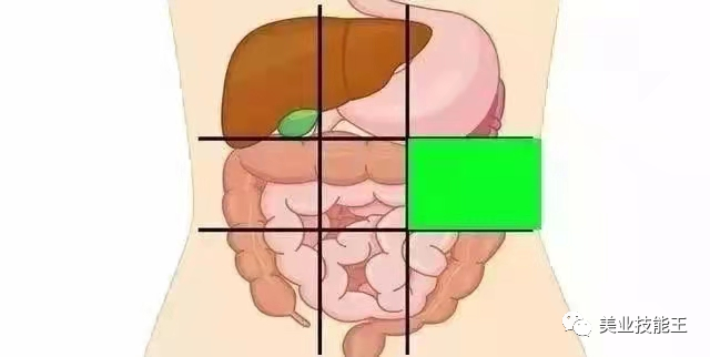 AED怎么自检腹部不同位置疼痛代表不同病症，点击文章自检_https://www.jmylbn.com_新闻资讯_第6张