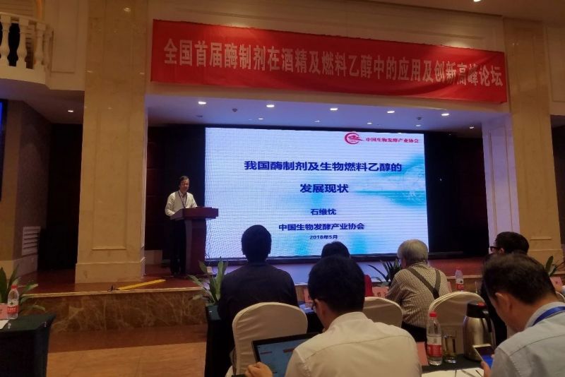 中国生物发酵产业协会理事长-石维忱 &uarr;