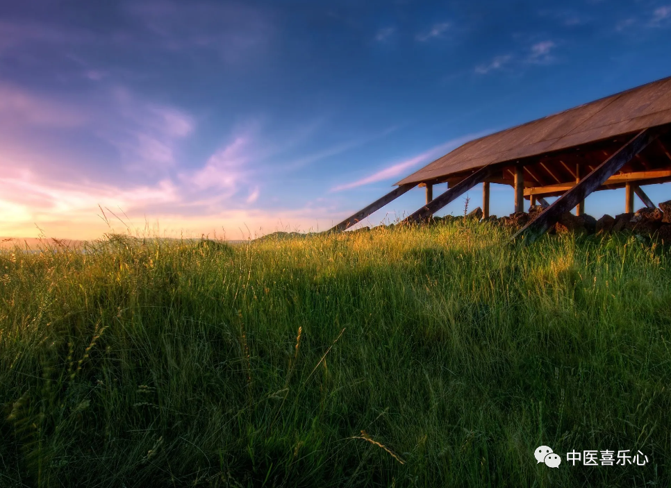 一个补肾非常全面的中成药，益精生髓，强筋健骨，却因药名常被误解