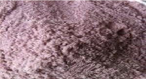 硫酸铵生产基本工艺的图2